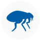 Icon of a flea