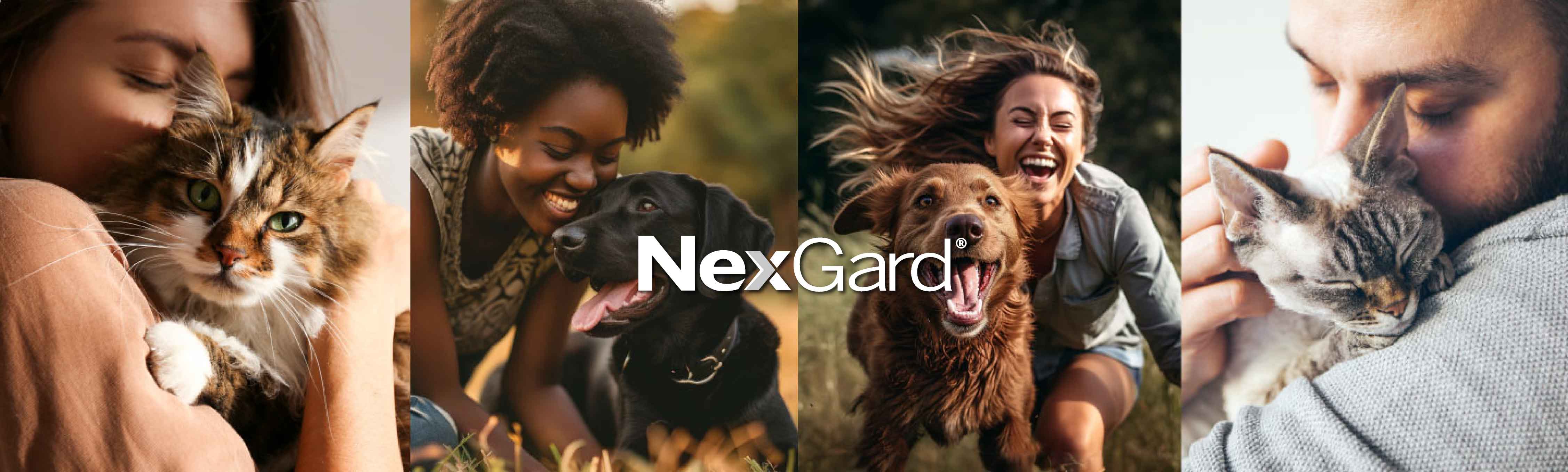 NexGard home banner